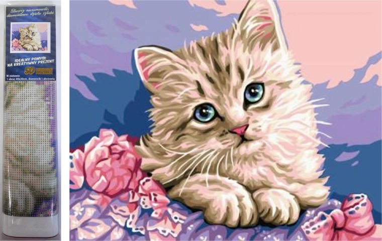 pittura diamantata occhi di gatto 30 × 40 cm – NORIMPEX