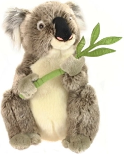 Koala di peluche 30 cm