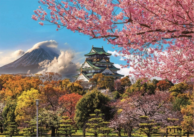 Educa Puzzle Castello di Osaka, Giappone 2000 pezzi