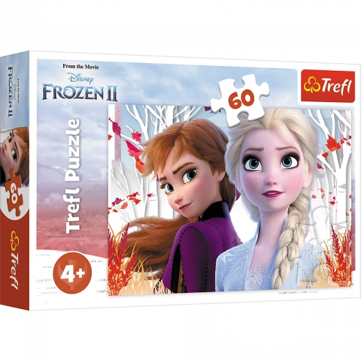 Puzzle 60 pezzi Il mondo incantato di Anna ed Elsa