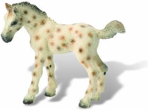 Puledro Knabstrupper