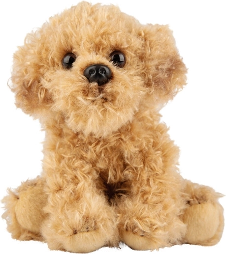 Cane di peluche Labradoodle