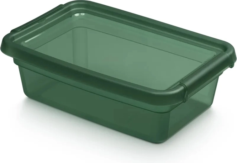 BASESTORE box contenitore in plastica con coperchio e clip 3 l pine