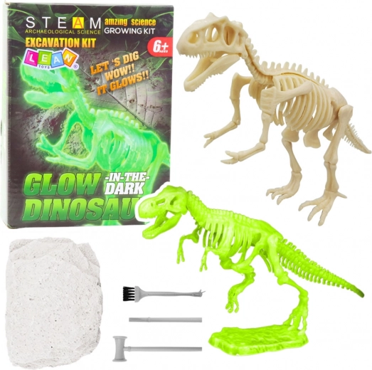 Set archeologico – scheletro di dinosauro luminoso con strumenti
