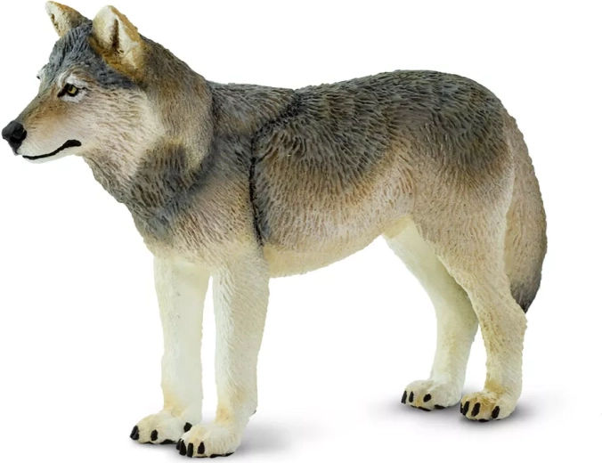 Safari Ltd. figurina lupo grigio - 1 pezzo
