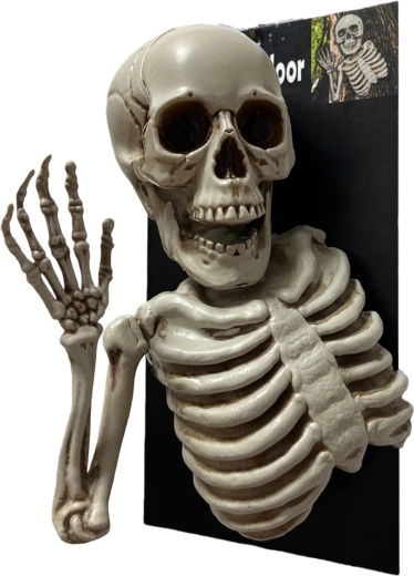Accessori per feste scheletro allegro