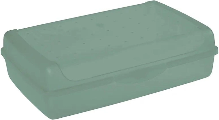 Luca click box maxi contenitore portaoggetti con coperchio 3,7 l verde