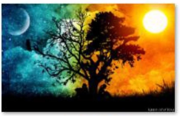 Ricamo con diamanti (diamond painting) Albero – notte e giorno 40 × 30 cm