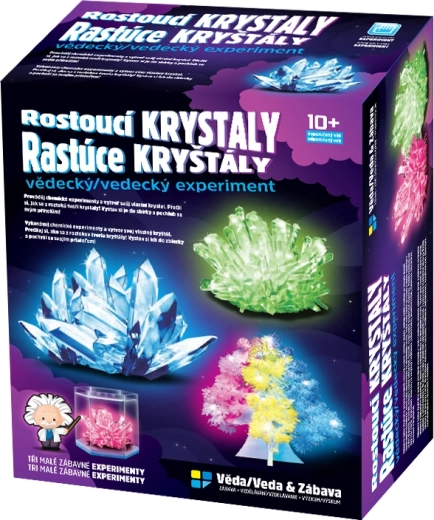 Set per coltivare cristalli per bambini