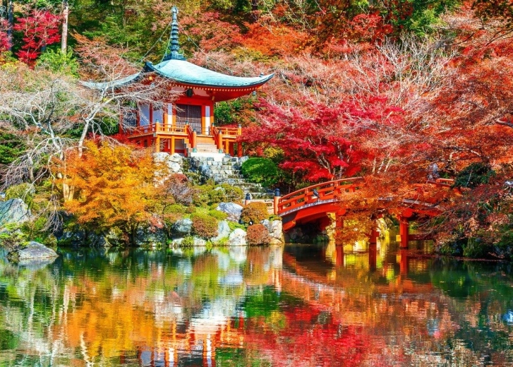 Puzzle BLUEBIRD Tempio Daigoji nell’autunnale Kyoto – 500 pezzi