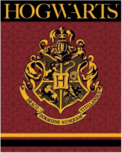 Coperta in pile Harry Potter XL