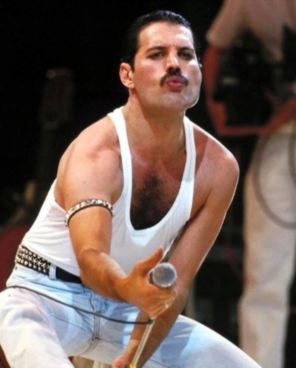 Pittura diamantata FREDDIE MERCURY 30 × 40 cm