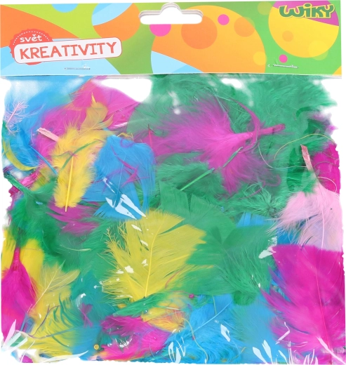 Set creativo di piume decorative – mix