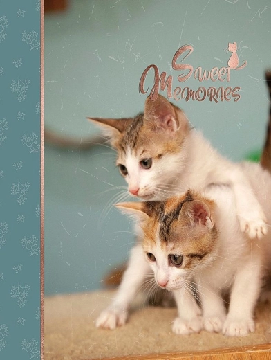 Album fotografico CONCORDE DXP 4696 per 96 foto 10 × 15 cm