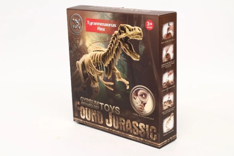 Set di scavo per bambini Fossile di dinosauro – fossili di dinosauro