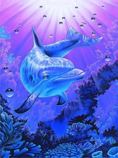 Norimpex pittura con numeri Delfino 40 × 50 cm