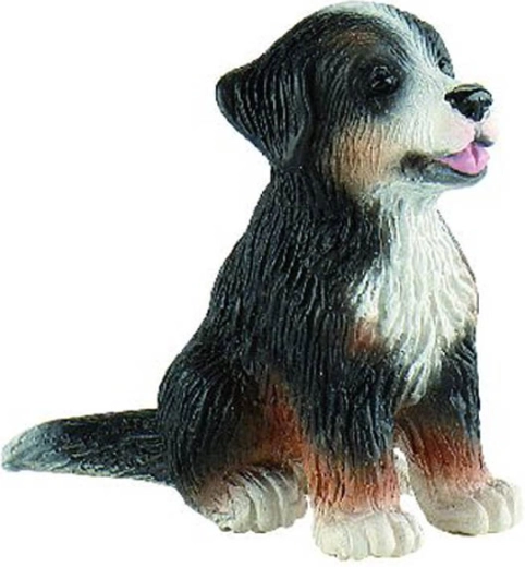 Bovaro del Bernese - cucciolo Joy