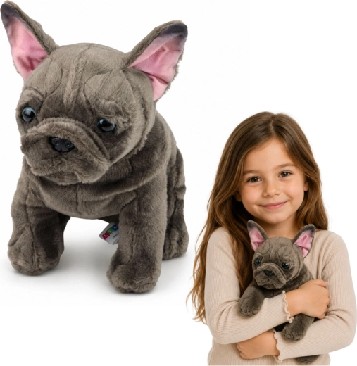 Bulldog francese di peluche 22 cm