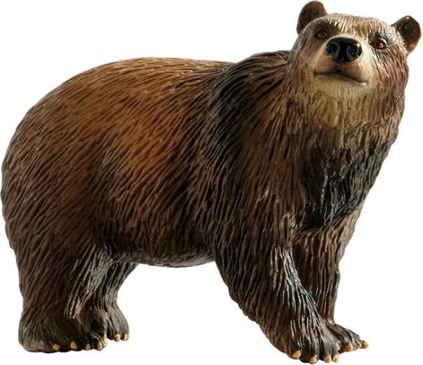 Orso bruno