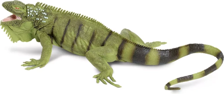 Safari Ltd. iguana verde