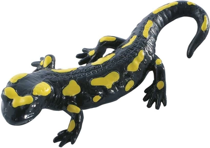 Salamandra pezzata