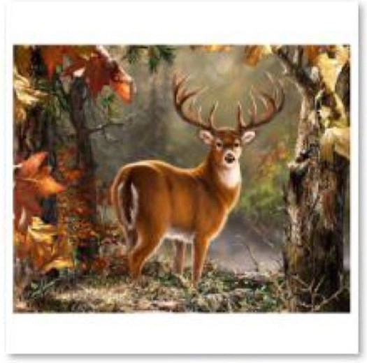 Pittura con diamanti (diamond painting) – cervo maestoso 40 × 30 cm