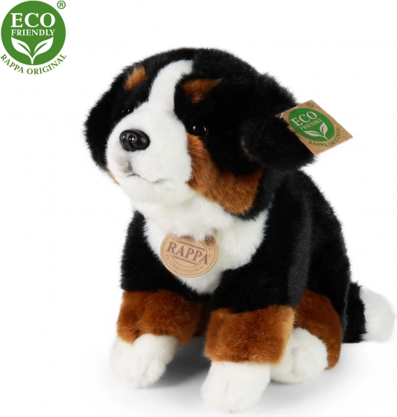 peluche Bovaro del Bernese 25 cm – RAPPA (eco‑friendly)