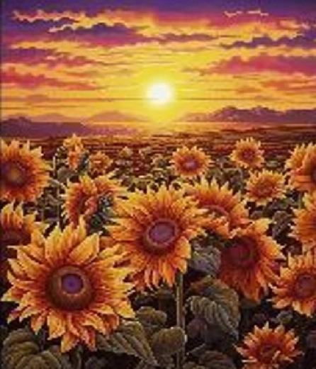Pittura diamantata tramonto tra i girasoli 30 × 40 cm