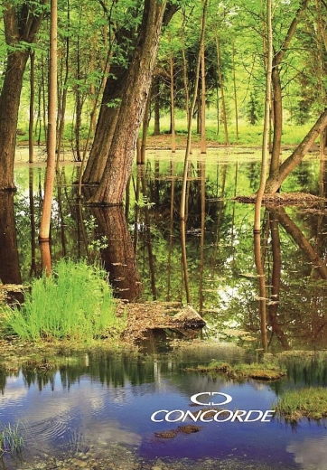 Quaderno dei verbali A4 a righe 8 mm, 200 fogli