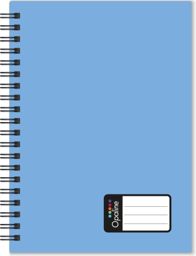 Quaderno A4 con rilegatura twin wire Opaline, azzurro pastello