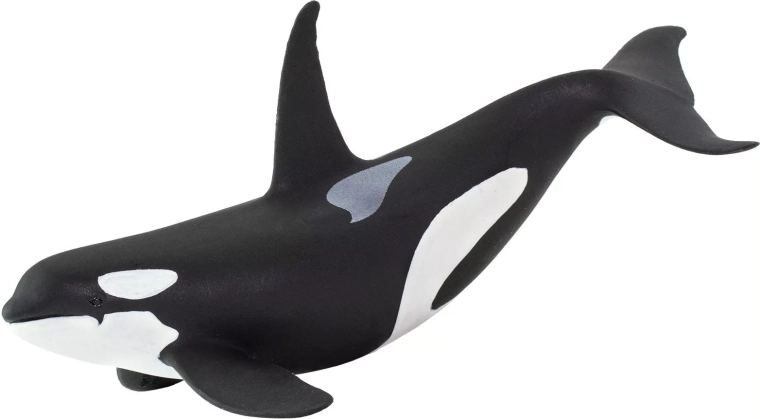 Figurina di orca Safari Ltd.