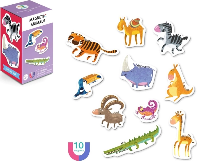 Gioco magnetico Animali - DODO