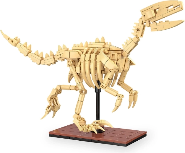 Fossile di dinosauro CaDA Velociraptor in scala 1:9 da costruire