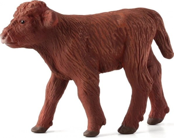Figura del vitello delle Highlands scozzesi Mojo