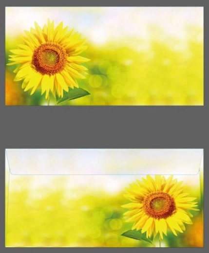 Busta colorata DL con girasole