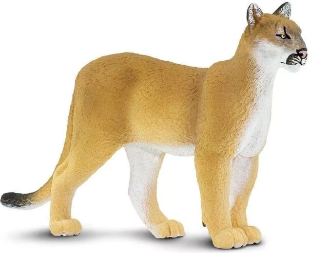 Figura di puma della Florida Safari Ltd. - 1 pezzo