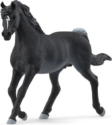 Figura di stallone purosangue arabo