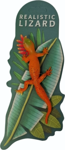 Animali – lucertola che cambia colore