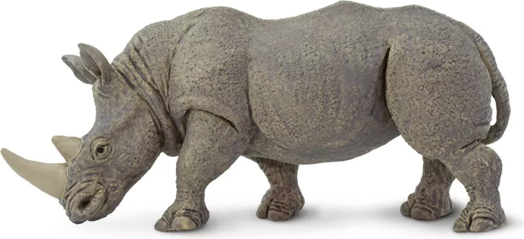 Rinoceronte bianco Safari Ltd.