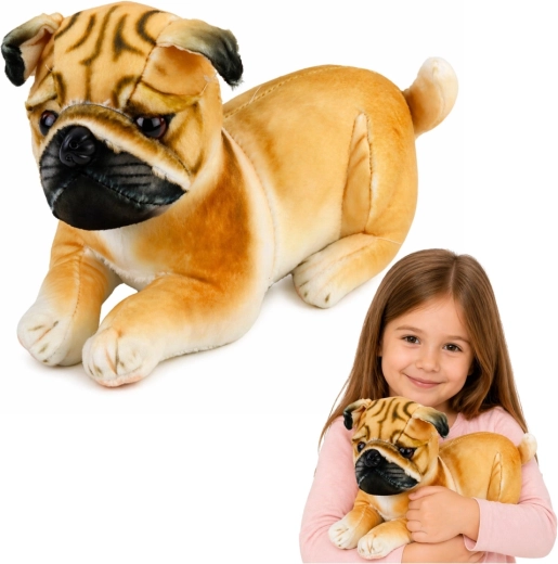 Carlino di peluche realistico da 25 cm, morbido da coccolare