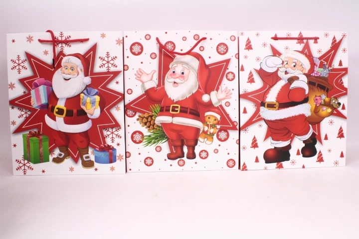Sacchetto regalo con motivo festivo