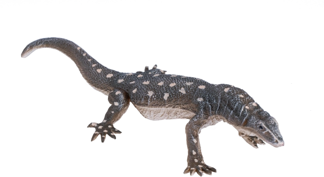 Figura realistica Varanus gigante