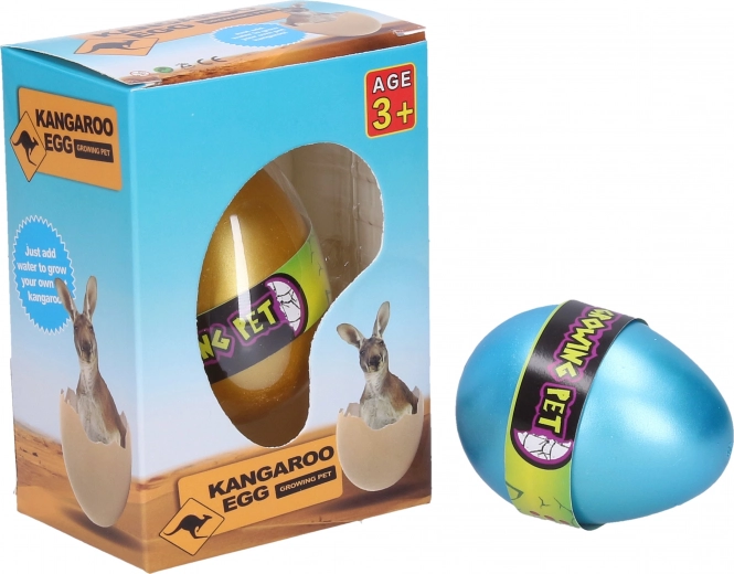 Uovo con canguro in crescita