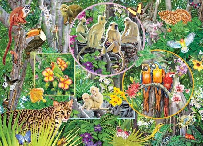 Puzzle per famiglie Incanto della foresta pluviale 350 pezzi COBBLE HILL