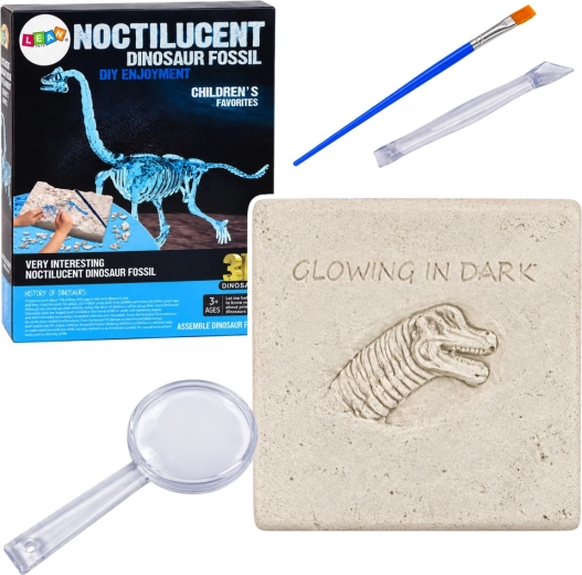 Set archeologico scavo dinosauro 3D scheletro Brachiosaurus