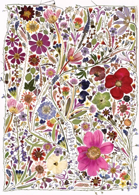 Puzzle Fiori Pressati Primavera 1000 Pezzi di Cobble Hill