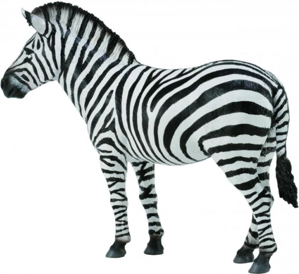 CollectA figurina di zebra delle steppe – modello animale realistico