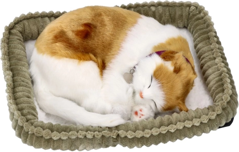 Perfect Petzzz gattina che respira Soriano 3+