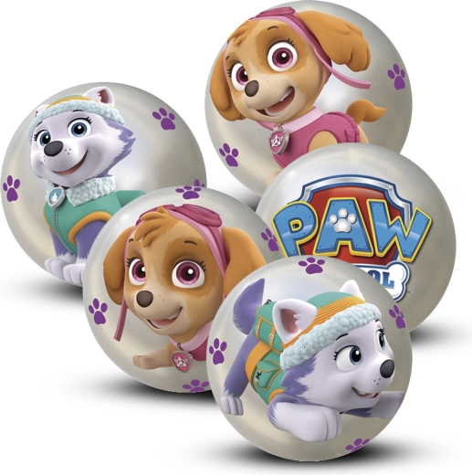 Pallina Paw Patrol 10 cm – display da 12 pezzi