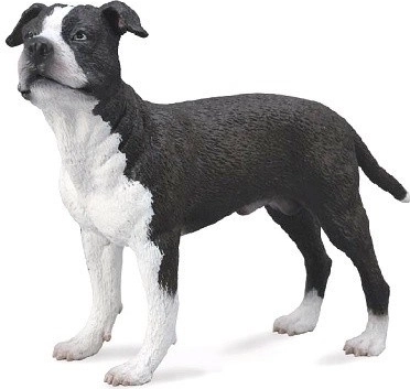 Collecta di figura di American Staffordshire Terrier